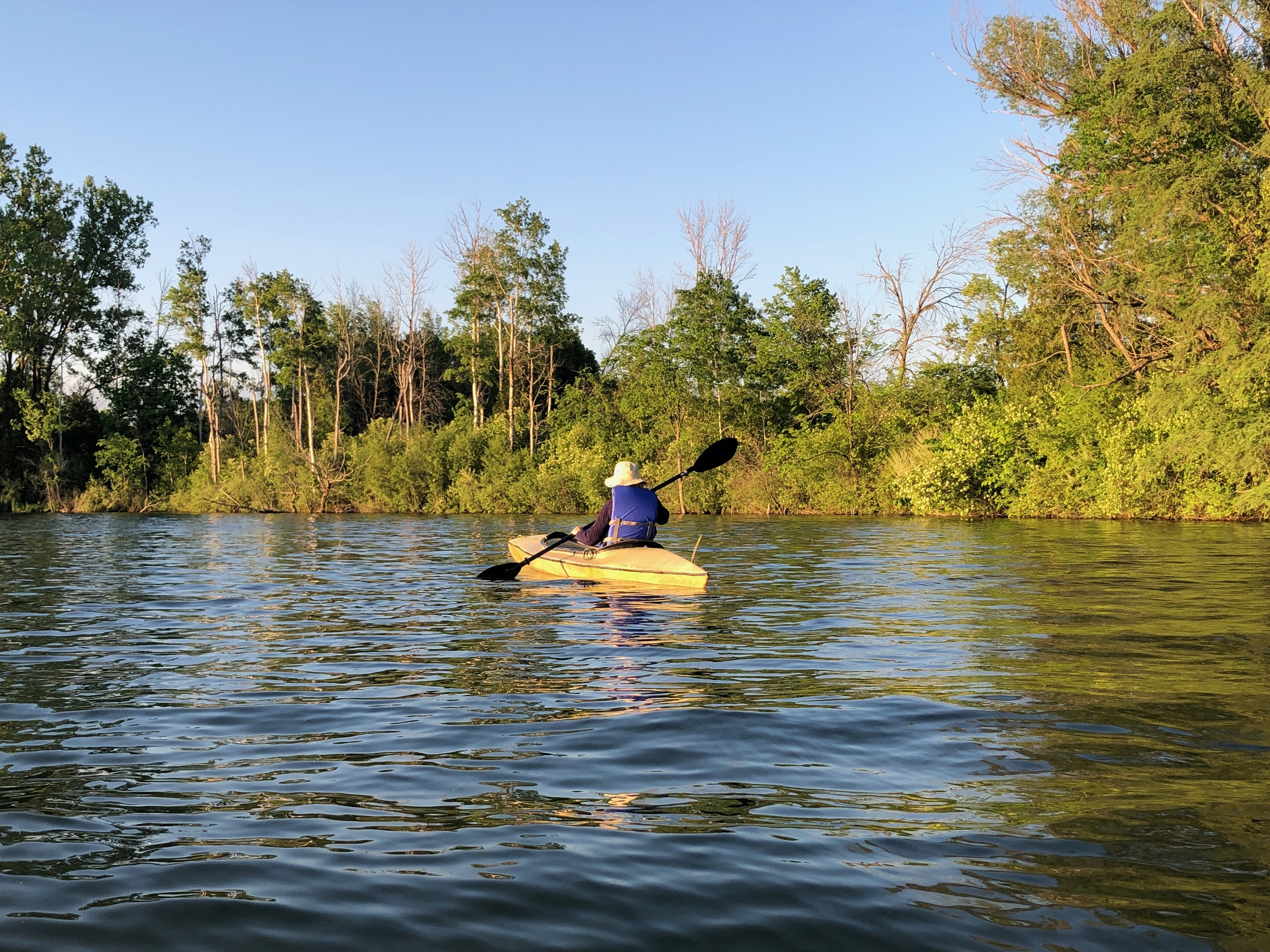 220815bbcut-elvispic